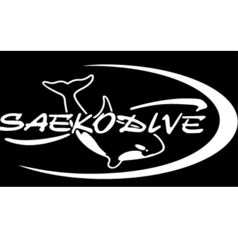 Adult Snorkel Set-PVC-CLEAR